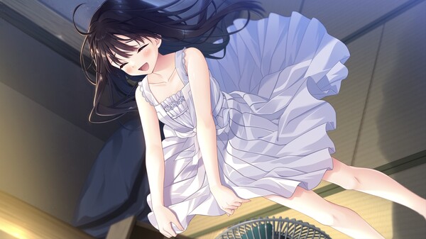 痴情哥哥与病弱妹妹的乡间生活 Build.18927577（Sickly Days and Summer Traces）免安装中文版 截图