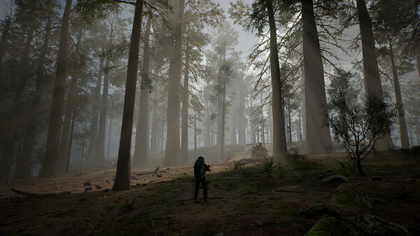 生命效应 v0.0.19（LIFE EFFECT）免安装英文版 截图