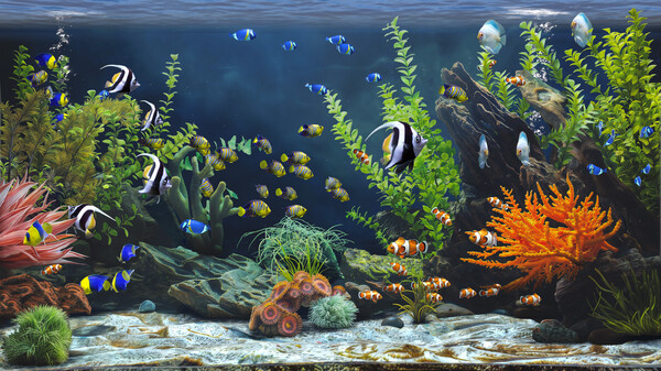 禅意水族馆 Build.20073752（Zen Aquarium）免安装中文版 截图