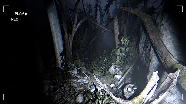 暗夜同行 v1.0（Together After Dark）免安装中文版 截图