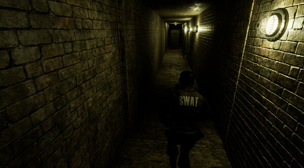 再无可失（TWD）免安装中文版 截图