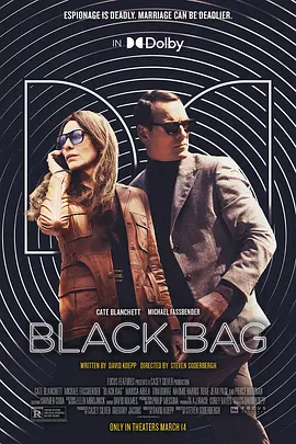 黑袋行动 Black Bag
