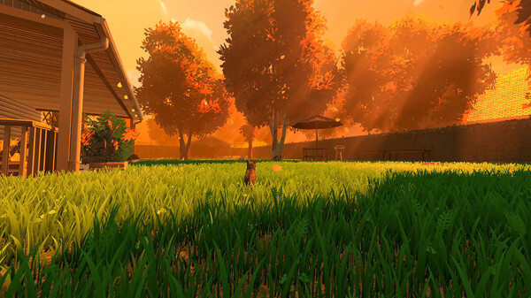 冒牌猫谜 v1.0.6（Copycat）免安装中文版 截图