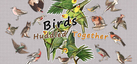 挤在一起的鸟鸟 Build.14298719（Birds Huddled Together）免安装中文版