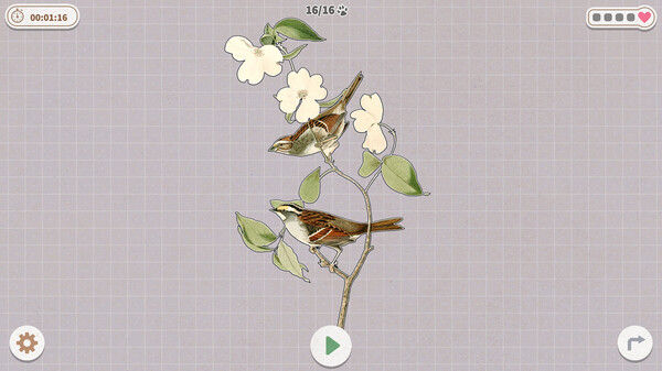 挤在一起的鸟鸟 Build.14298719（Birds Huddled Together）免安装中文版 截图