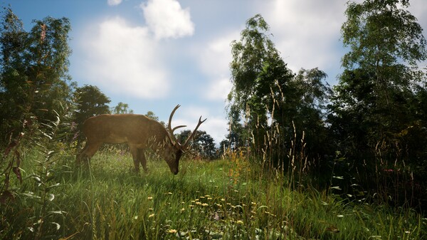 恐惧地带 v1.4.1（DREADZONE）免安装中文版 截图