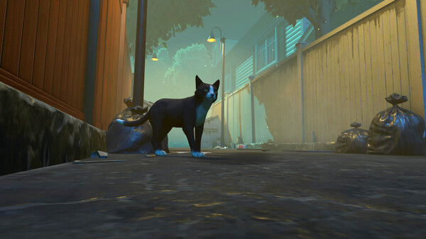 冒牌猫谜 v1.0.6（Copycat）免安装中文版 截图